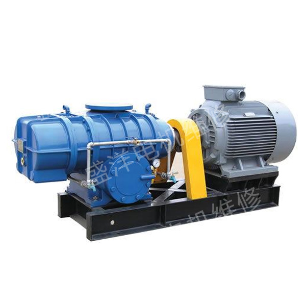 泰州专业风机维修 